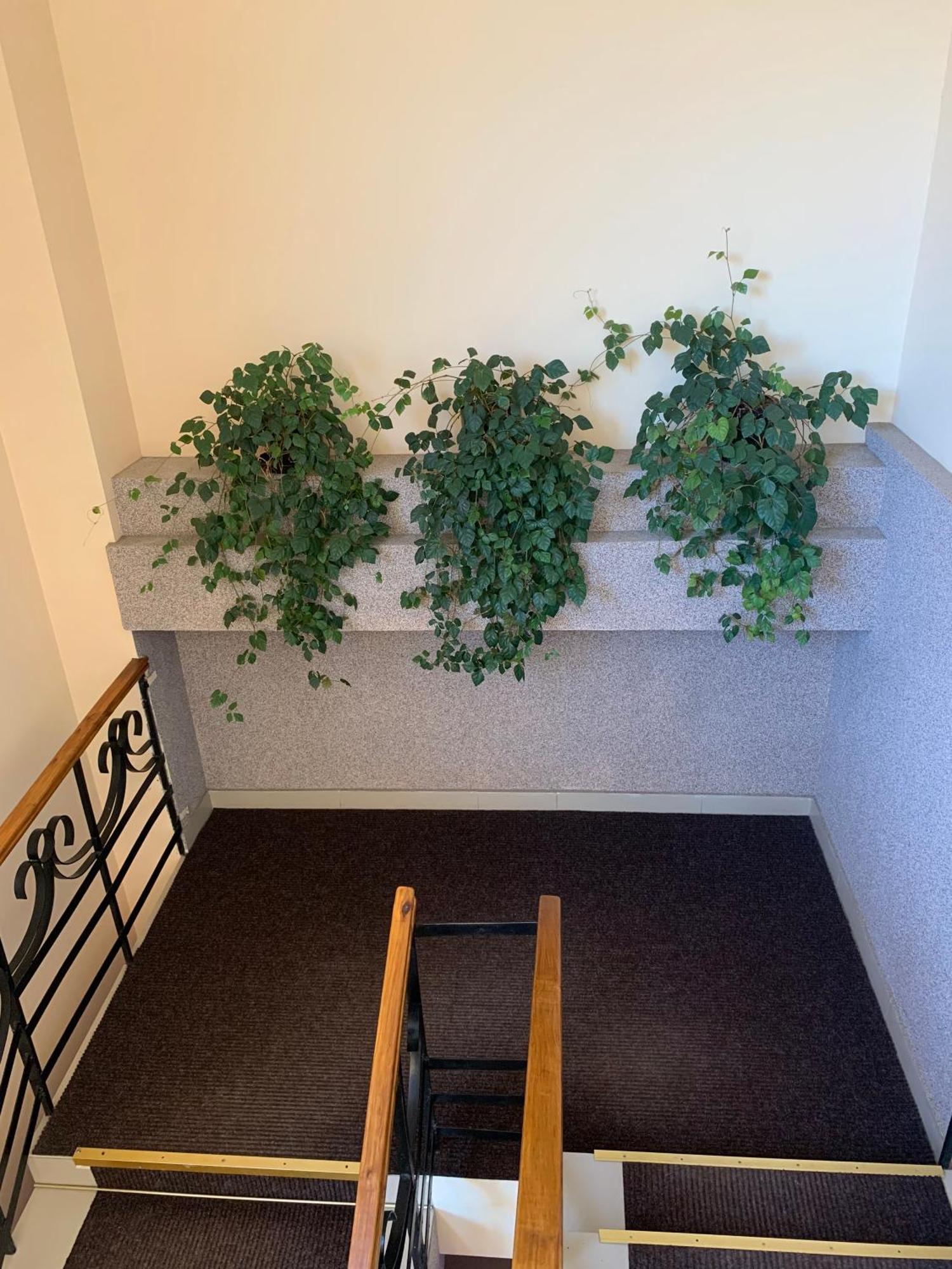 Hostel Iskra Λβιβ Εξωτερικό φωτογραφία